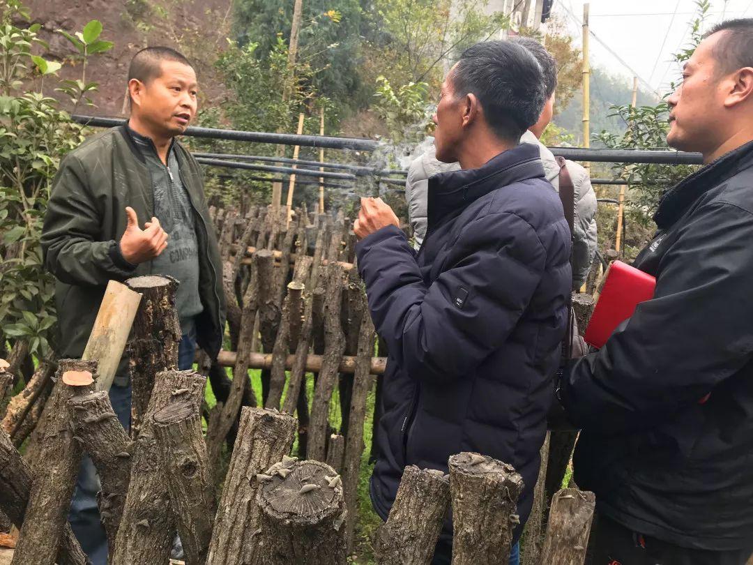 寨梁村新项目，乡村振兴新动力澎湃来袭