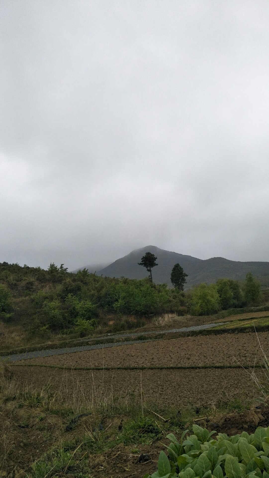 落地沟村民委员会天气预报更新通知