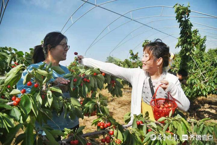 卡定卡村新任领导，引领乡村繁荣的领航者