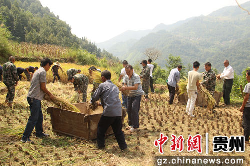 纳村繁荣进步新时代，最新新闻探索之旅