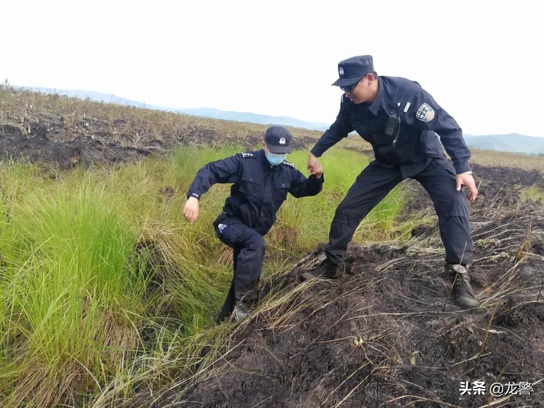 翠峰林场交通升级助力地方发展新闻速递