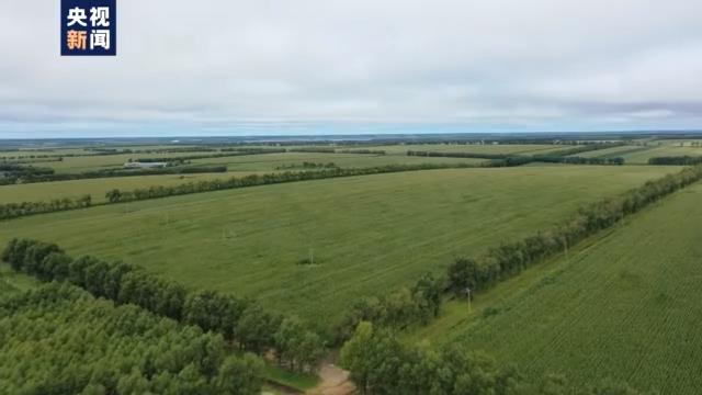 太东乡交通新闻，交通建设助力地方经济腾飞新动态