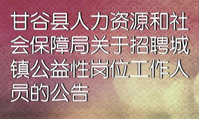 甘洛县审计局最新招聘公告详解